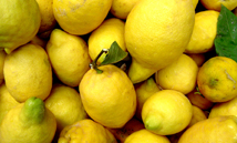 citroner-i-bunke.jpg